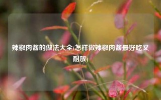 辣椒肉酱的做法大全(怎样做辣椒肉酱最好吃又耐放)