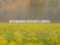 鲜贝粥的做法(鲜贝粥怎么做好吃)