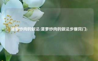 菠萝炒肉的做法(菠萝炒肉的做法步骤窍门)
