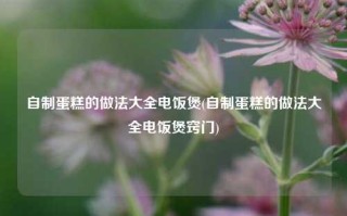 自制蛋糕的做法大全电饭煲(自制蛋糕的做法大全电饭煲窍门)