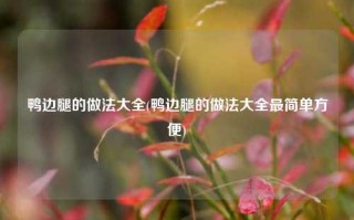 鸭边腿的做法大全(鸭边腿的做法大全最简单方便)