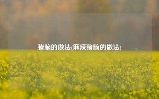猪脑的做法(麻辣猪脑的做法)