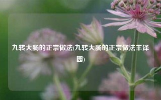 九转大肠的正宗做法(九转大肠的正宗做法丰泽园)