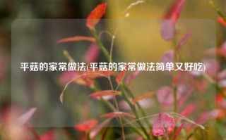 平菇的家常做法(平菇的家常做法简单又好吃)