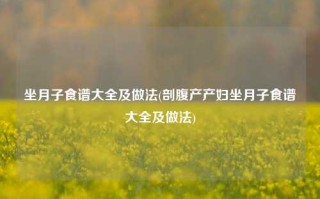 坐月子食谱大全及做法(剖腹产产妇坐月子食谱大全及做法)