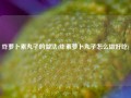 炸萝卜素丸子的做法(炸素萝卜丸子怎么做好吃)