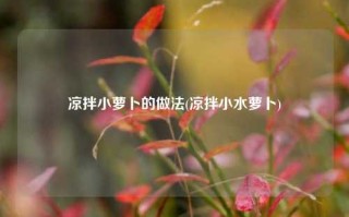 凉拌小萝卜的做法(凉拌小水萝卜)
