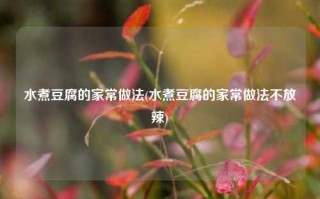 水煮豆腐的家常做法(水煮豆腐的家常做法不放辣)