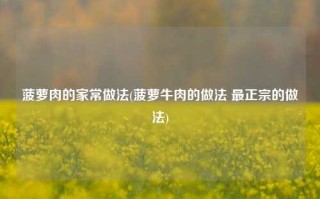 菠萝肉的家常做法(菠萝牛肉的做法 最正宗的做法)