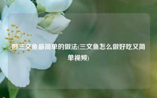 煎三文鱼最简单的做法(三文鱼怎么做好吃又简单视频)