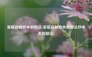 家庭自制炒米的做法(家庭自制炒米的做法炒米茶的做法)