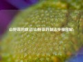 山野菜的做法(山野菜的做法步骤图解)