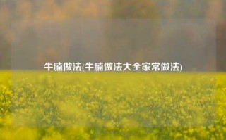 牛腩做法(牛腩做法大全家常做法)