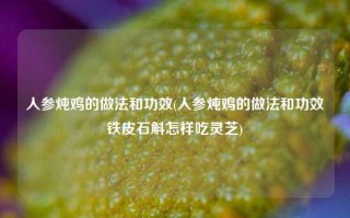 人参炖鸡的做法和功效(人参炖鸡的做法和功效铁皮石斛怎样吃灵芝)