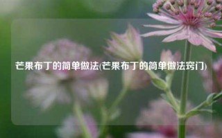 芒果布丁的简单做法(芒果布丁的简单做法窍门)