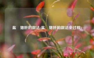 盐焗猪肝的做法(盐焗猪肝的做法全过程)