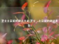 芝士土豆泥的做法大全(芝士焗土豆泥的做法大全)