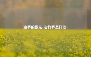 油笋的做法(油竹笋怎样吃)
