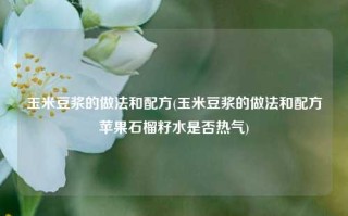 玉米豆浆的做法和配方(玉米豆浆的做法和配方苹果石榴籽水是否热气)