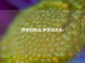 笋煲的做法(笋煲汤大全)