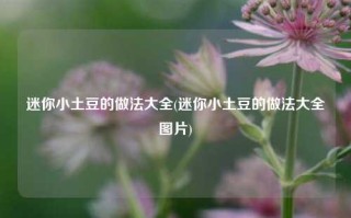 迷你小土豆的做法大全(迷你小土豆的做法大全图片)