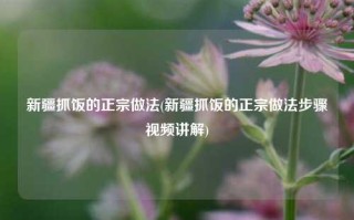 新疆抓饭的正宗做法(新疆抓饭的正宗做法步骤视频讲解)