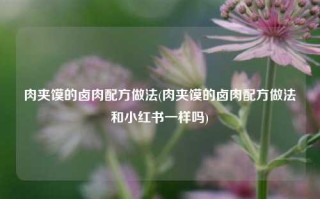 肉夹馍的卤肉配方做法(肉夹馍的卤肉配方做法和小红书一样吗)
