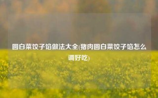 圆白菜饺子馅做法大全(猪肉圆白菜饺子馅怎么调好吃)