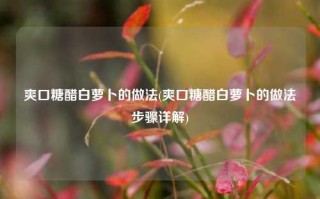 爽口糖醋白萝卜的做法(爽口糖醋白萝卜的做法步骤详解)