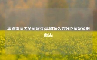 羊肉做法大全家常菜(羊肉怎么炒好吃家常菜的做法)