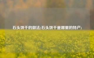石头饼干的做法(石头饼干是哪里的特产)