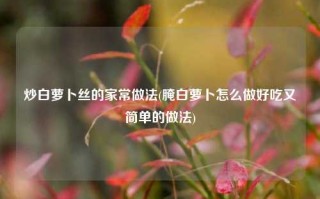 炒白萝卜丝的家常做法(腌白萝卜怎么做好吃又简单的做法)