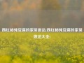 西红柿炖豆腐的家常做法(西红柿炖豆腐的家常做法大全)