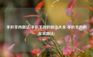 手扒羊肉做法(手扒羊肉的做法大全 手扒羊肉的家常做法)