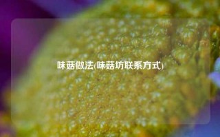 味菇做法(味菇坊联系方式)