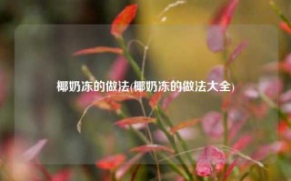 椰奶冻的做法(椰奶冻的做法大全)