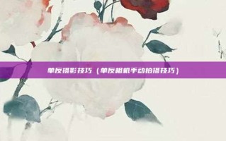 单反摄影技巧（单反相机手动拍摄技巧）