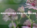 鸡蛋卤子的家常做法(鸡蛋卤子的家常做法视频)