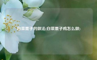 白菜栗子的做法(白菜栗子鸡怎么做)