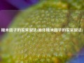 糯米圆子的家常做法(油炸糯米圆子的家常做法)