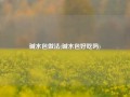 碱水包做法(碱水包好吃吗)