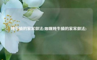 炖牛腩的家常做法(咖喱炖牛腩的家常做法)