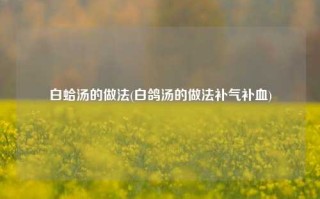 白蛤汤的做法(白鸽汤的做法补气补血)