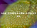 鸡肉炖土豆的家常做法(鸡肉炖土豆的家常做法图片)