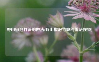 野山椒泡竹笋的做法(野山椒泡竹笋的做法视频)