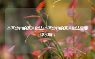 木耳炒肉的家常做法(木耳炒肉的家常做法需要焯水吗?)