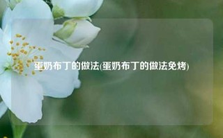 蛋奶布丁的做法(蛋奶布丁的做法免烤)