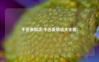 牛舌鱼做法(牛舌鱼做法大全图)