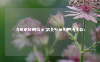 清蒸鳜鱼的做法(清蒸桂鱼的做法步骤)