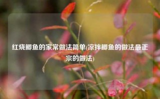 红烧鲫鱼的家常做法简单(凉拌鲫鱼的做法最正宗的做法)